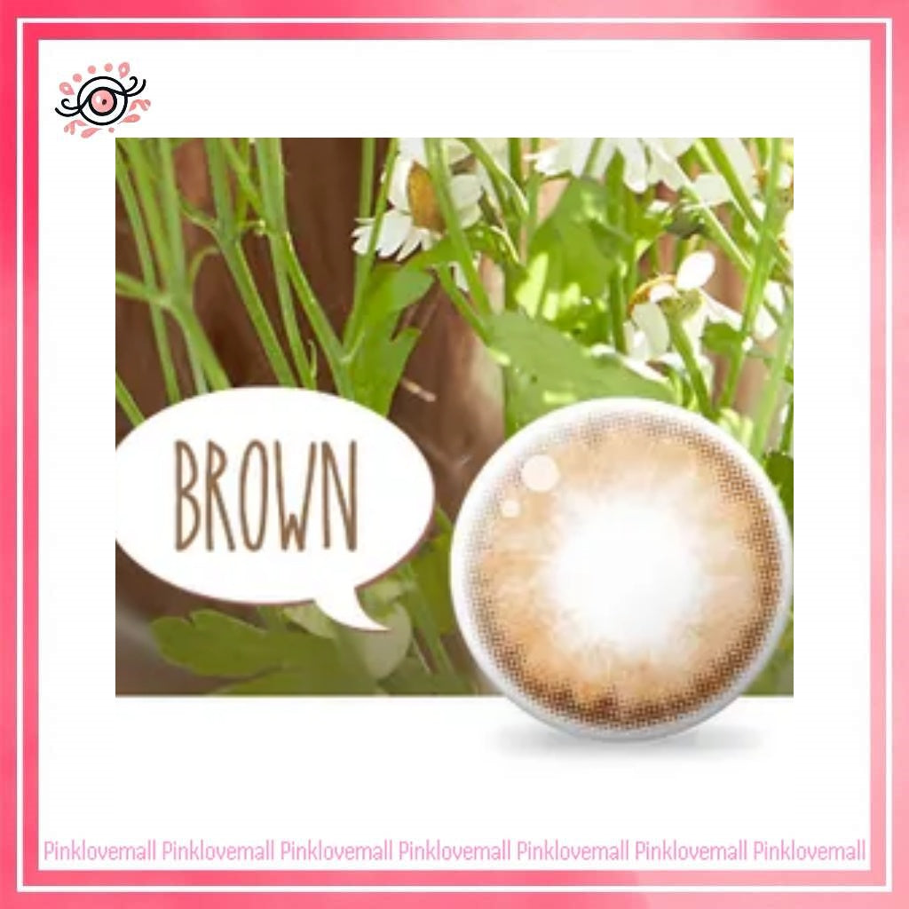 Lenstown Pocopong Brown|月拋彩妝隱形眼鏡|每盒1片
