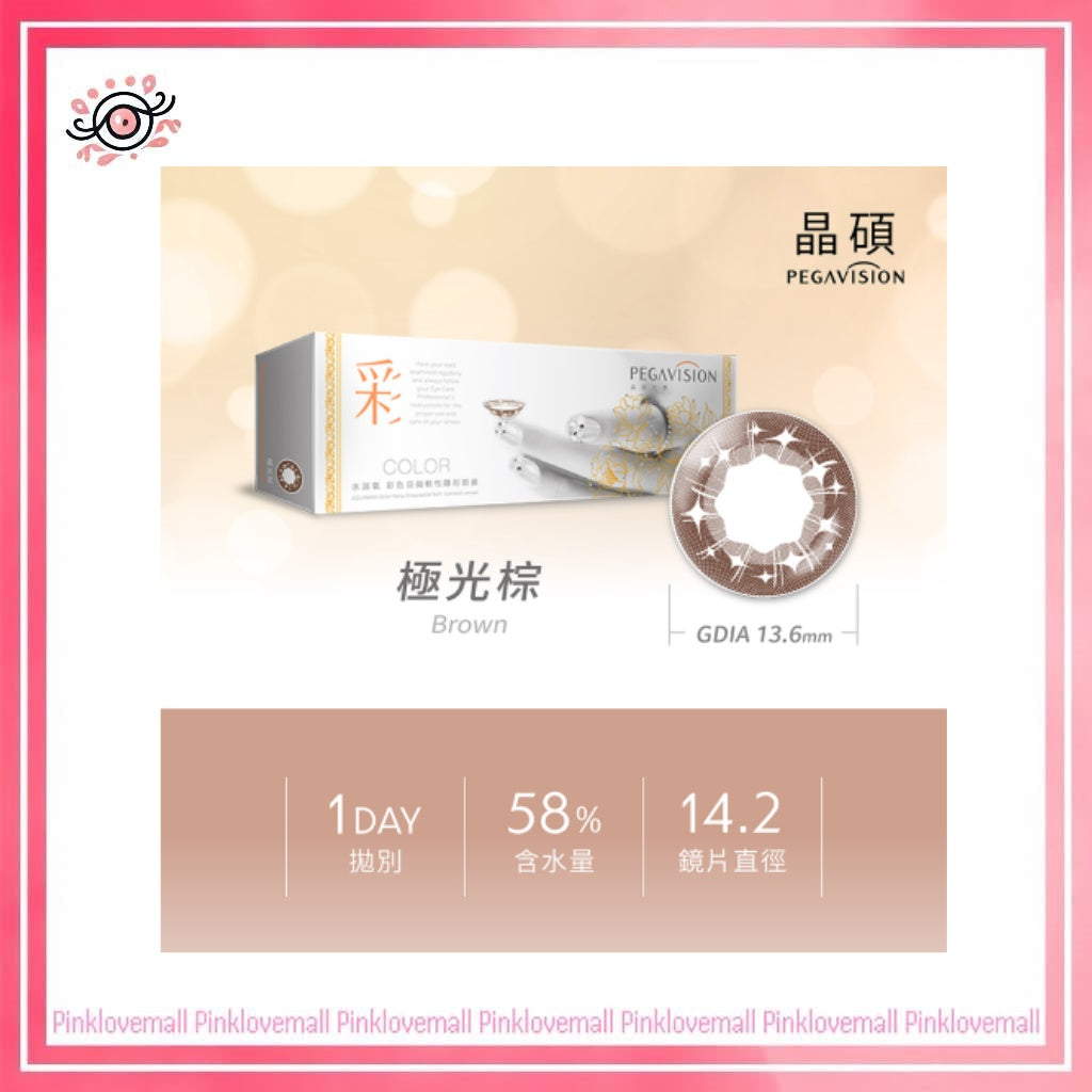 晶碩 Pegavision 彩色經典 極光棕｜日拋彩妝隱形眼鏡｜每盒20片