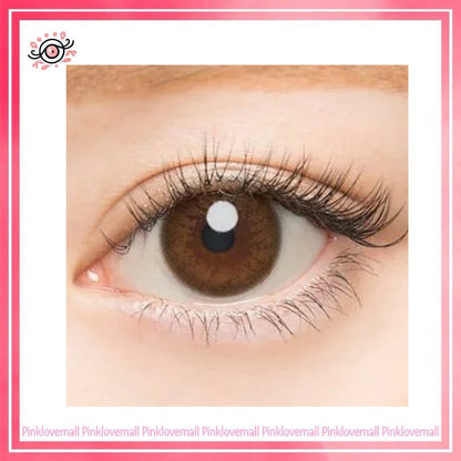 AngelColor Bambi Series 1 Day Natural Brown｜日拋彩妝隱形眼鏡｜每盒10片
