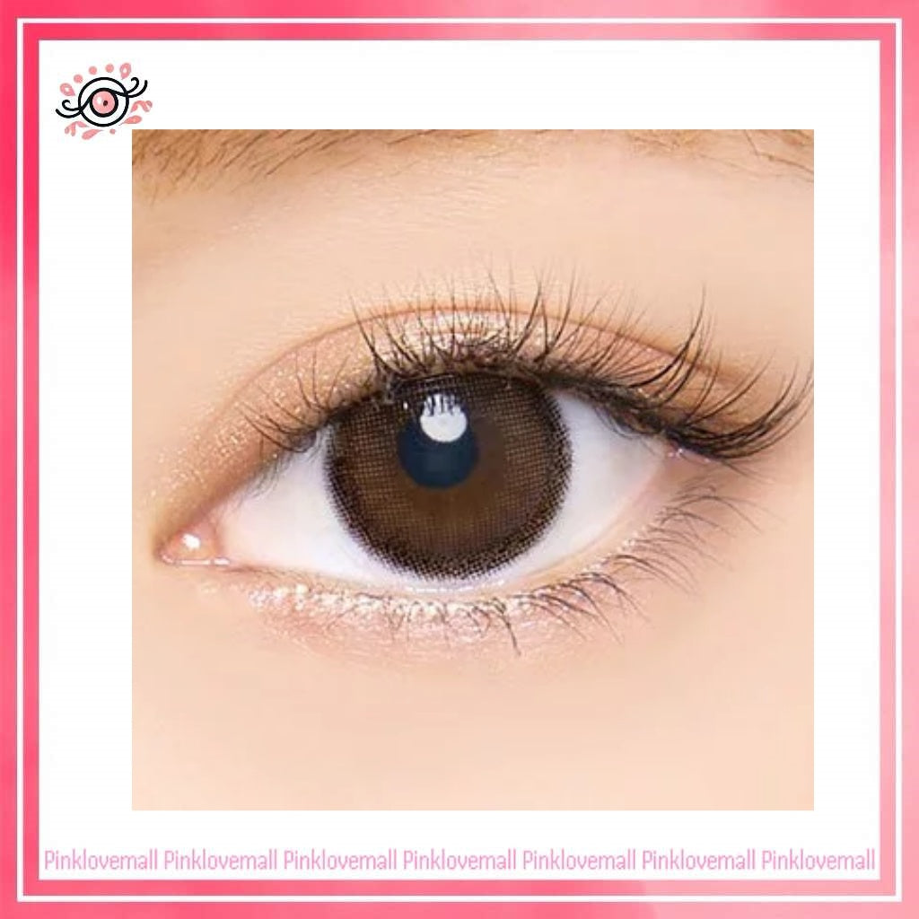 AngelColor Bambi Series 1 Day Natural Pure Brown｜日拋彩妝隱形眼鏡｜每盒10片