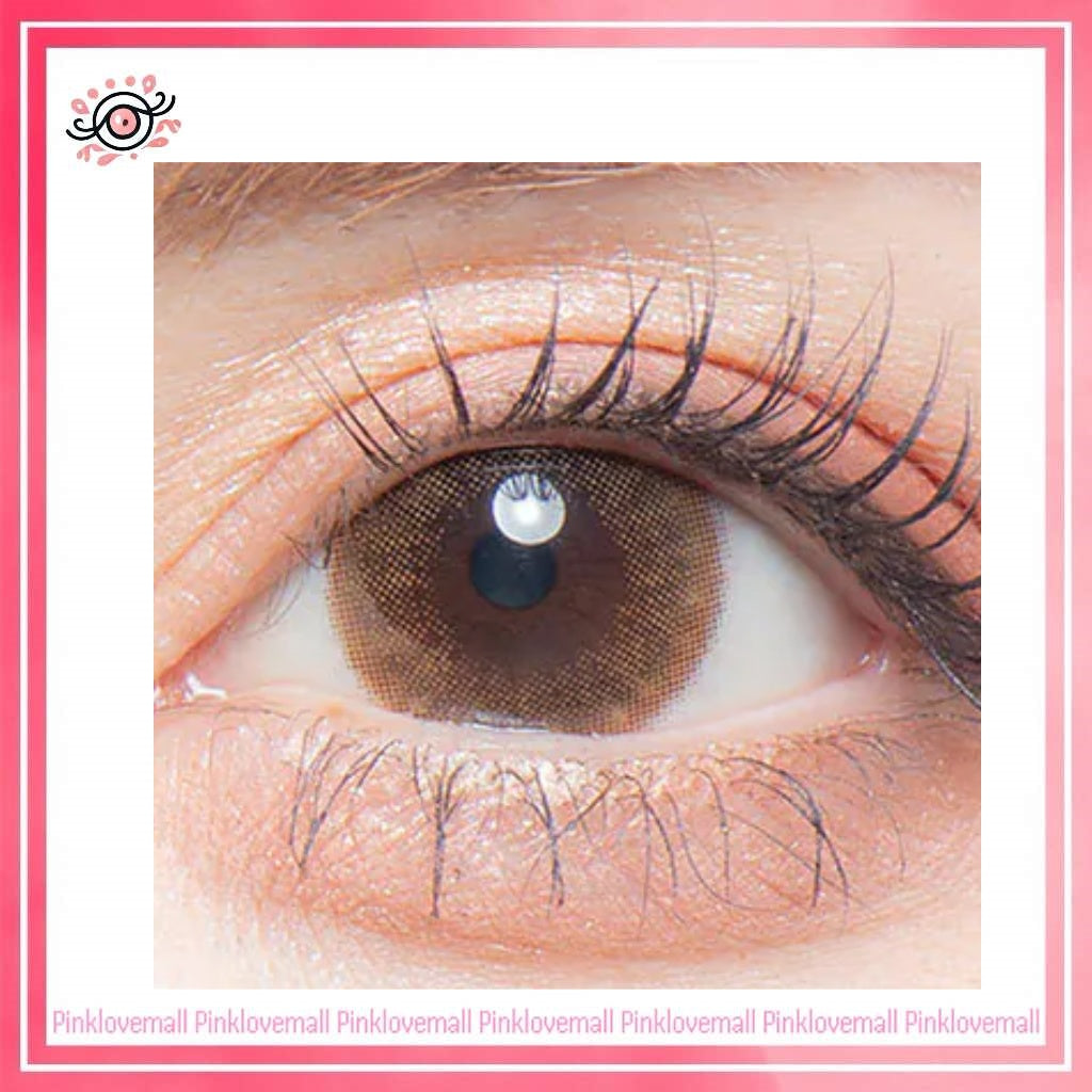 Colors1d 1 Day Natural Pure Brown｜日拋彩妝隱形眼鏡｜每盒10片