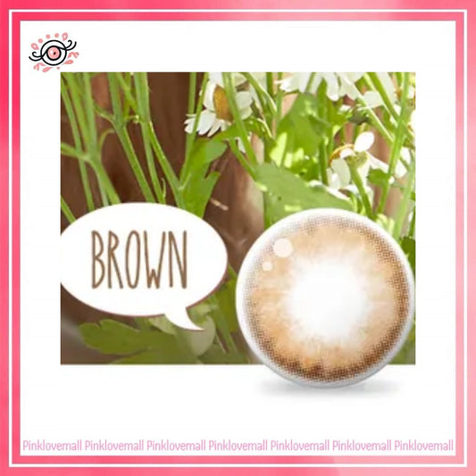 Lenstown Pocopong Brown｜月拋彩妝隱形眼鏡｜每盒1片
